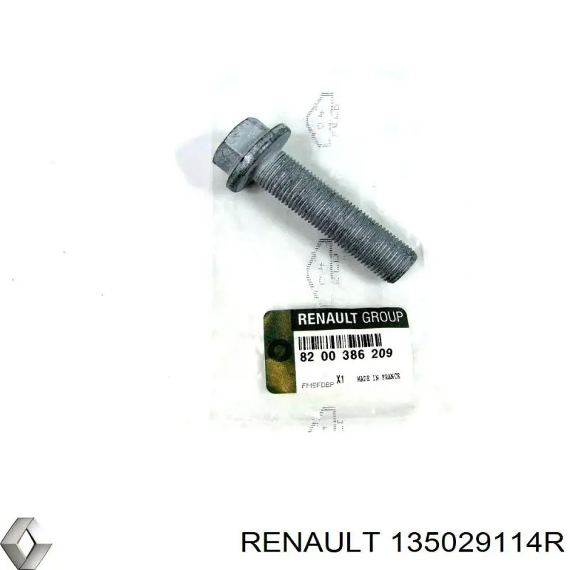 Купити 135029114R Renault (RVI) 