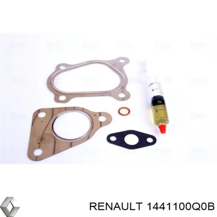  1441100Q0B Renault (RVI)