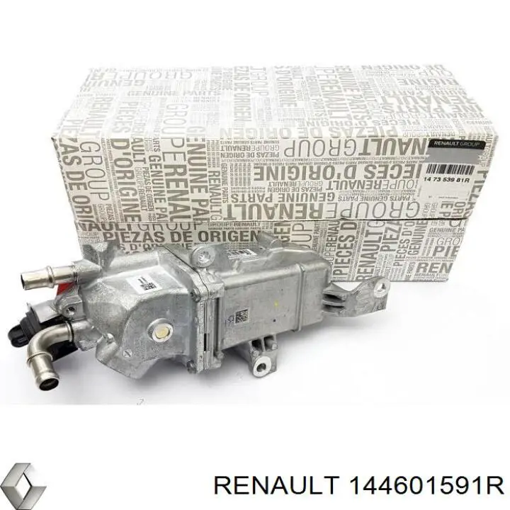 144601591R Renault (RVI) Трубка, що нагнітається