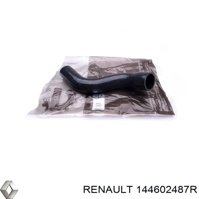 Патрубок повітряний, вихід з турбіни (наддув) Renault (RVI) 144602487R ціна, від 34.21 USD