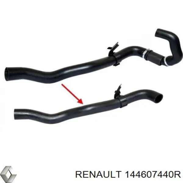 Шланг/патрубок интеркуллера 144607440R Renault (RVI)