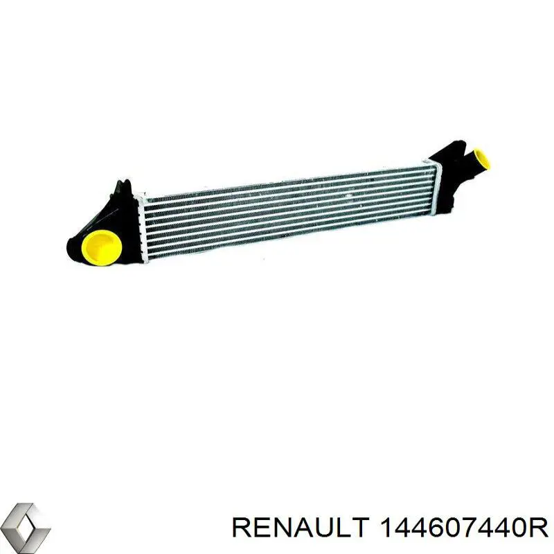 Шланг/патрубок интеркуллера Renault (RVI) 144607440R ціна, від 113.44 USD