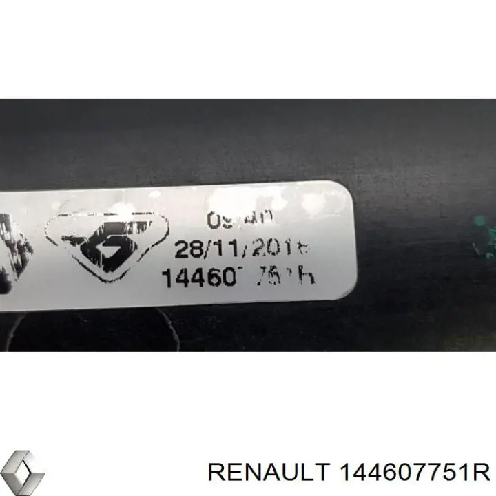  144607751R Renault (RVI)