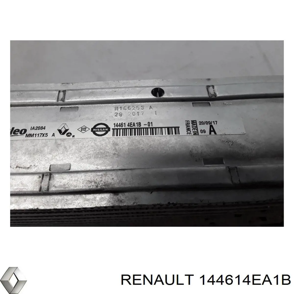 Радіатор інтеркулера Renault (RVI) 144614EA1B