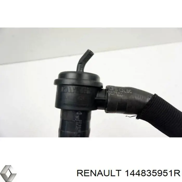  Renault (RVI) 144835951R ціна, від 10.65 USD