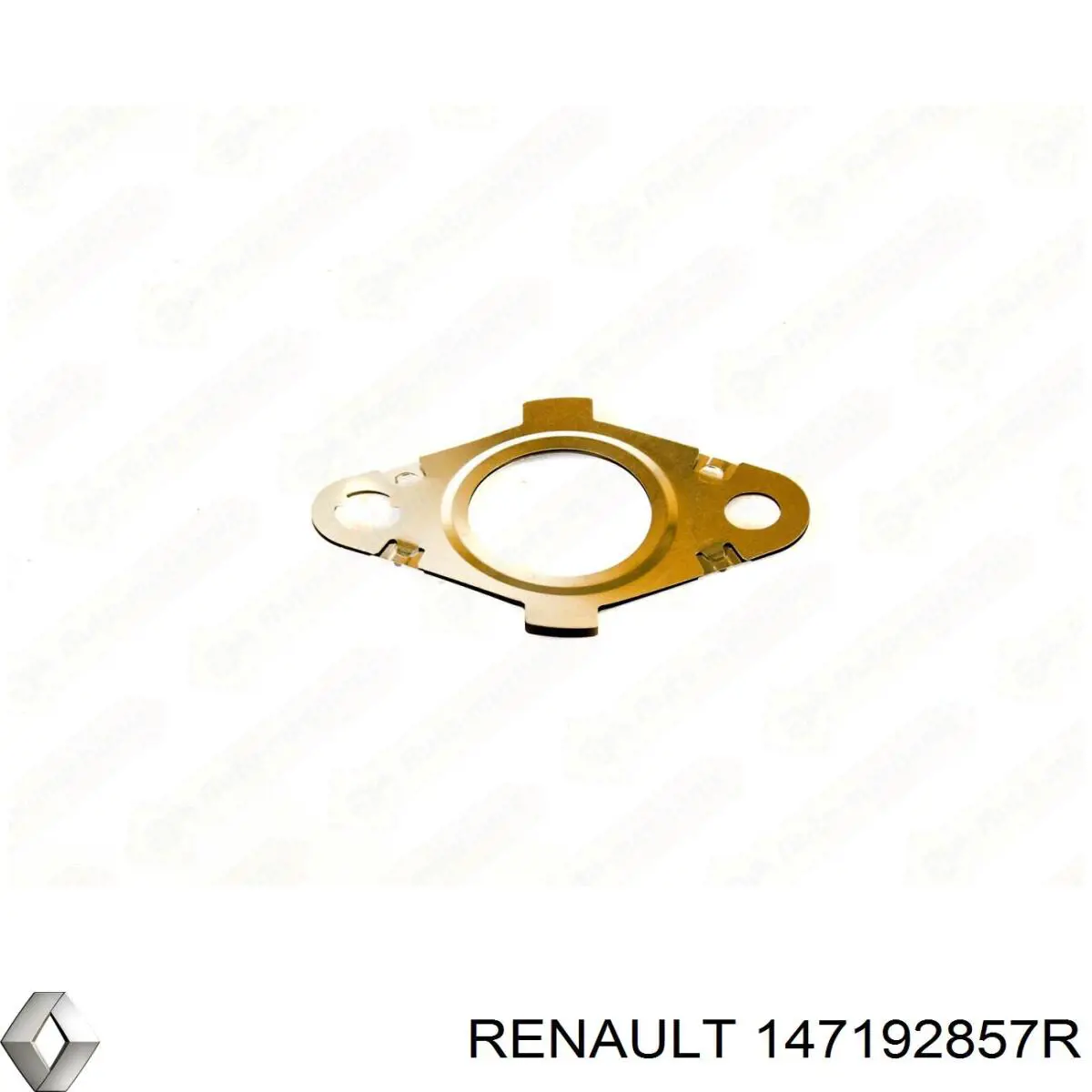Прокладка патрубка EGR до голівки блока (ГБЦ) Renault (RVI) 147192857R ціна, від 5.47 USD