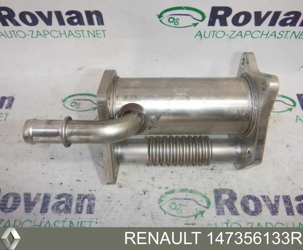  147356133R Renault (RVI)