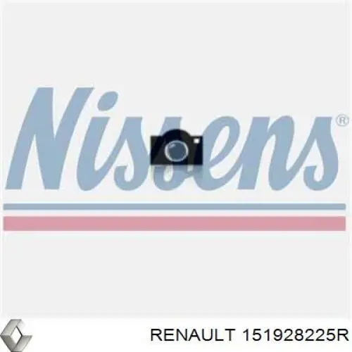  151928225R Renault (RVI)