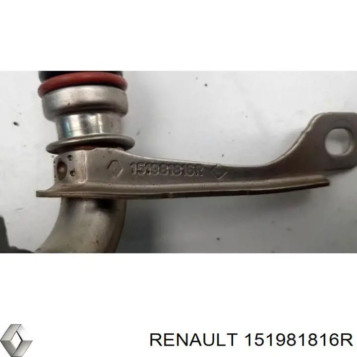 151981816R Renault (RVI) Трубка/шланг відводу масла від турбіни