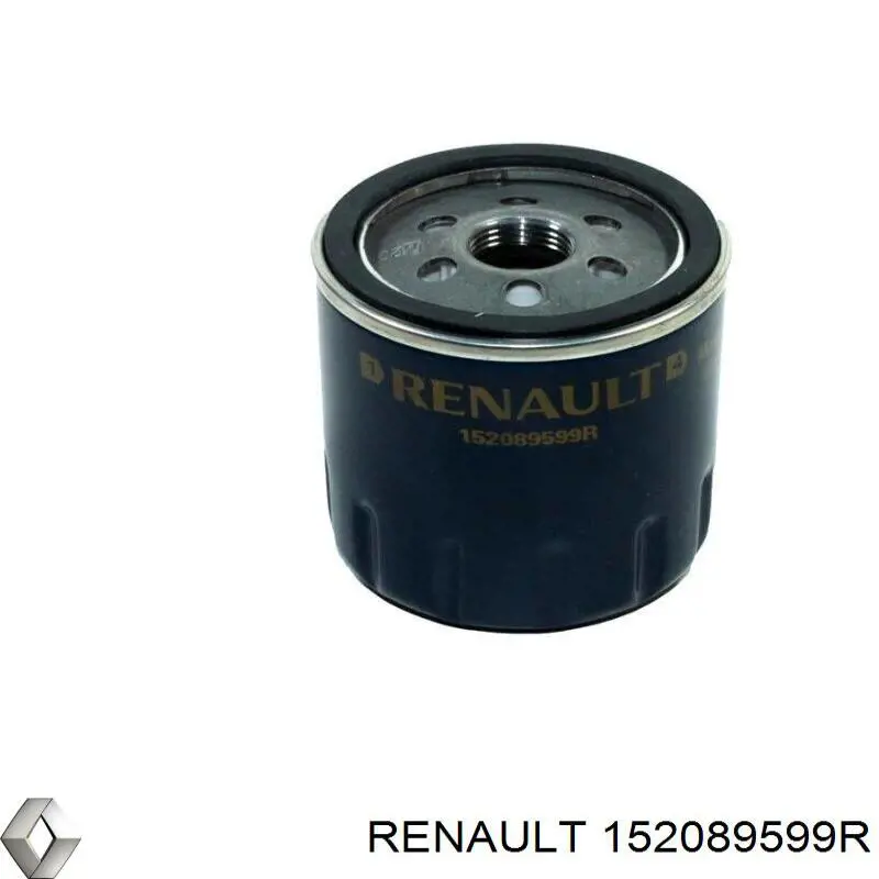 Купити 152089599R Renault (RVI) Фільтр очищення масла відцентровий