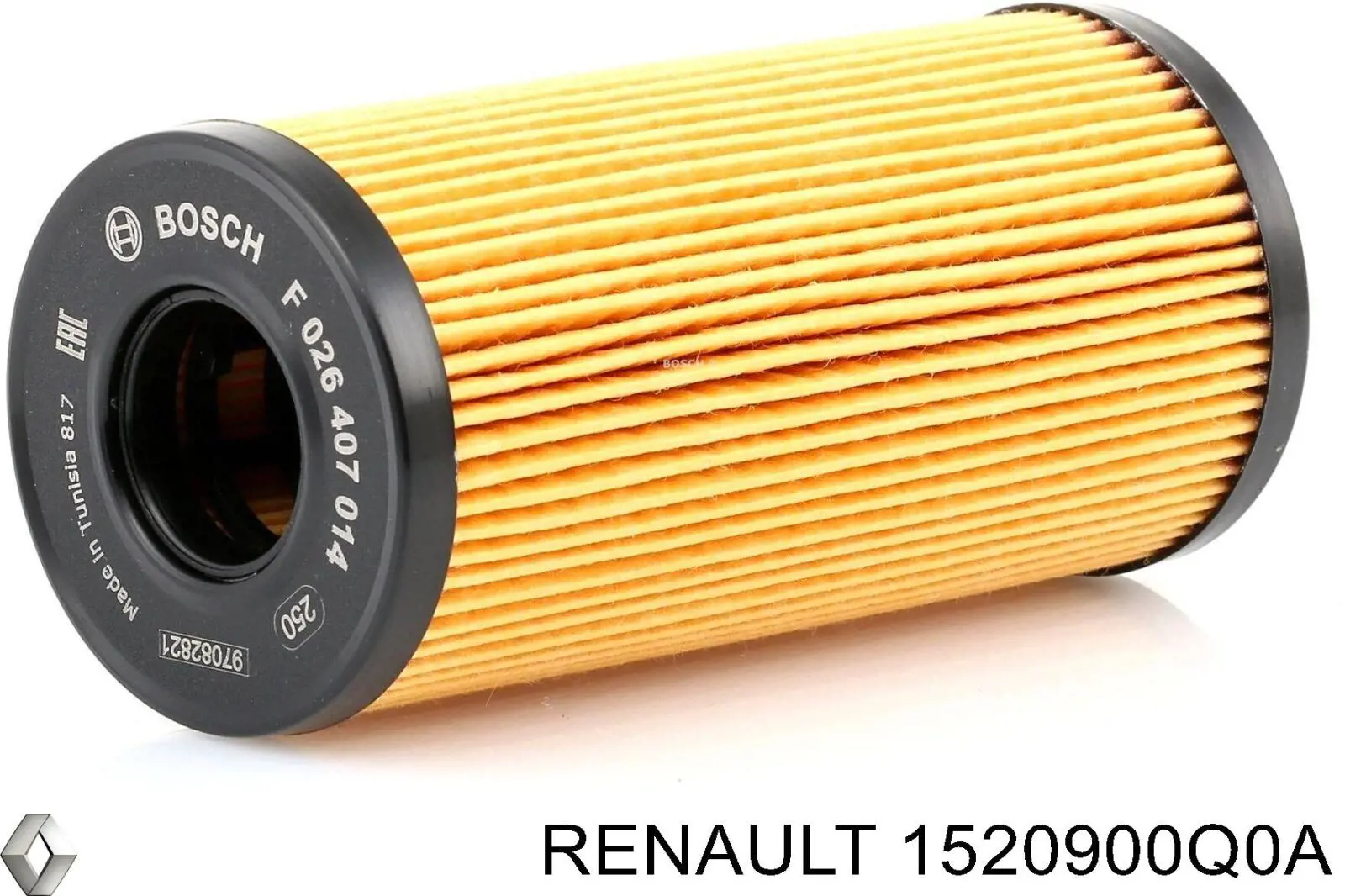 1520900Q0A Renault (RVI) фільтр масляний