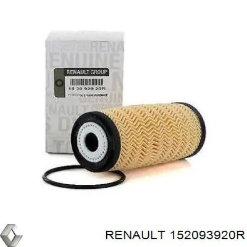 Купити 152093920R Renault (RVI) Фільтр очищення масла відцентровий