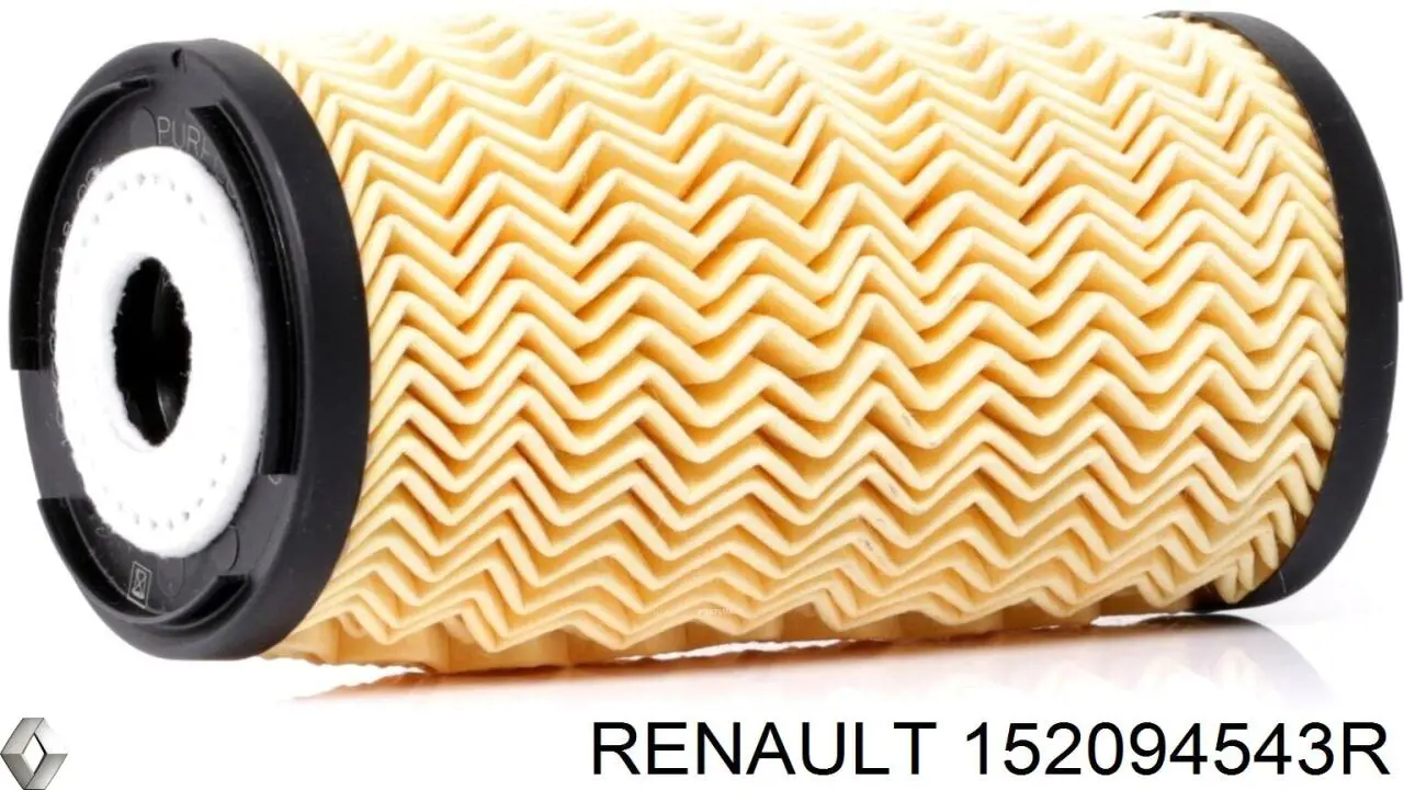 Купити 152094543R Renault (RVI) Фільтр очищення масла відцентровий