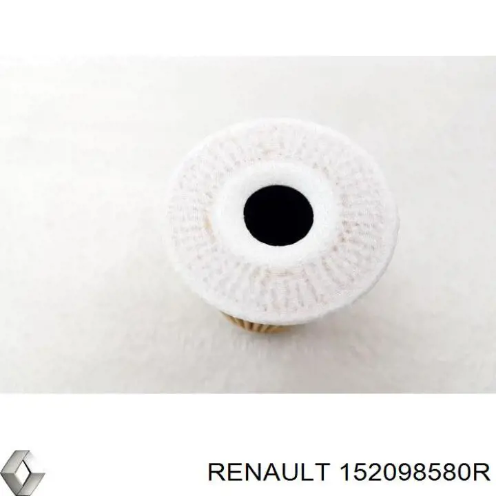 Купити 152098580R Renault (RVI) Фільтр очищення масла відцентровий