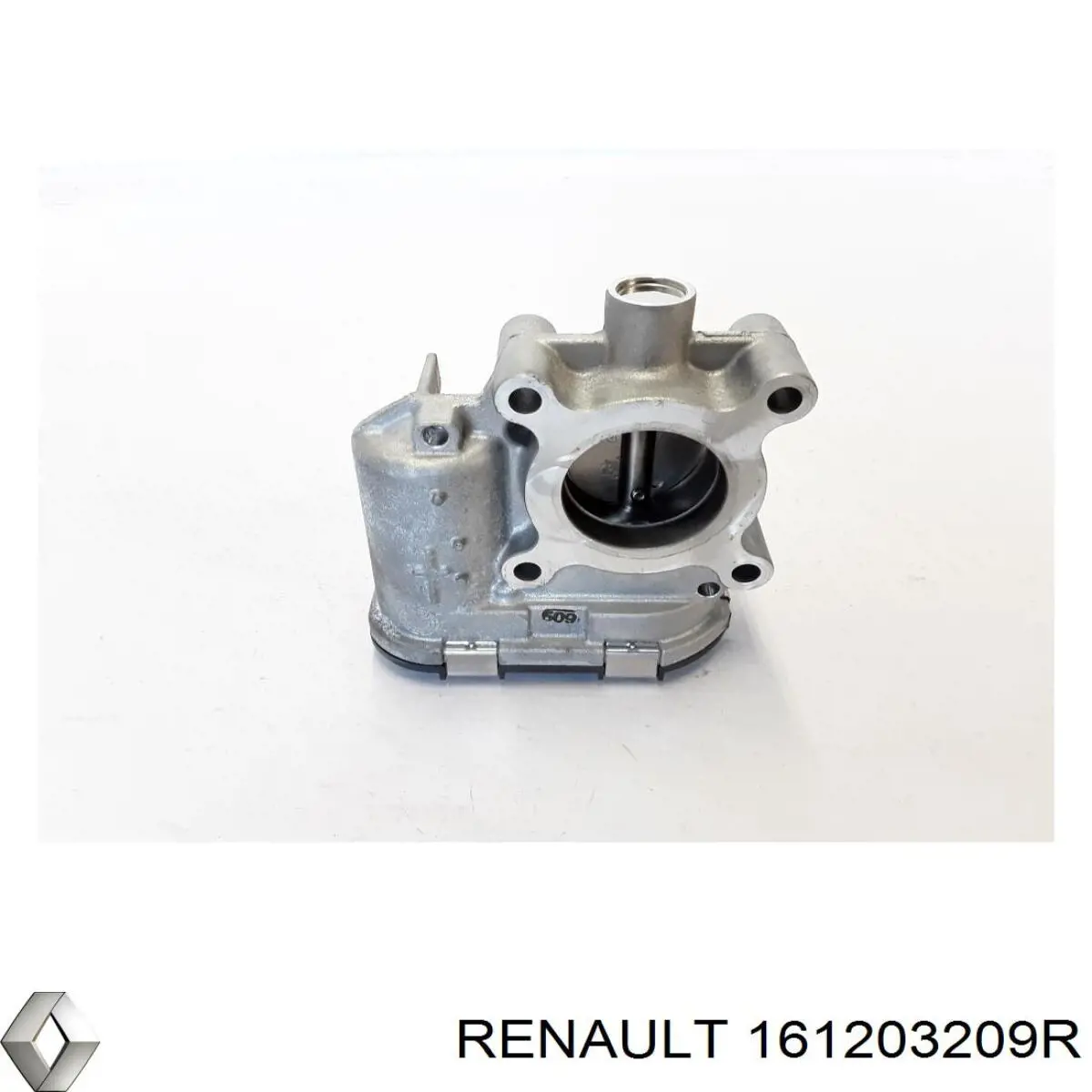 Купити 161203209R Renault (RVI) Дросільна заслінка