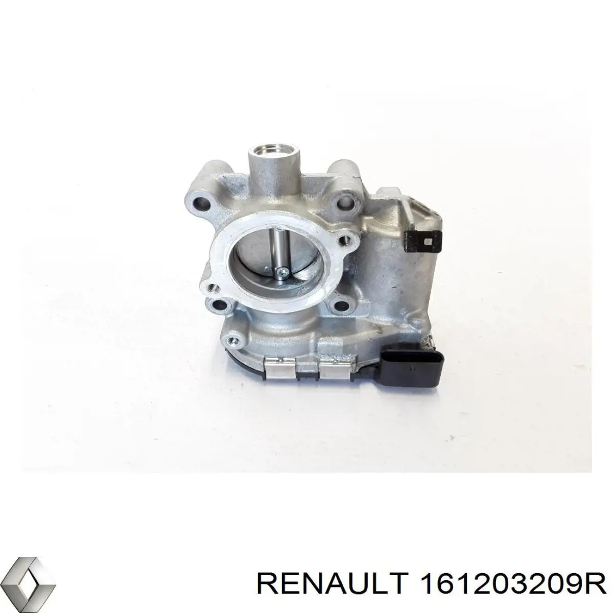 Дросільна заслінка 161203209R Renault (RVI)