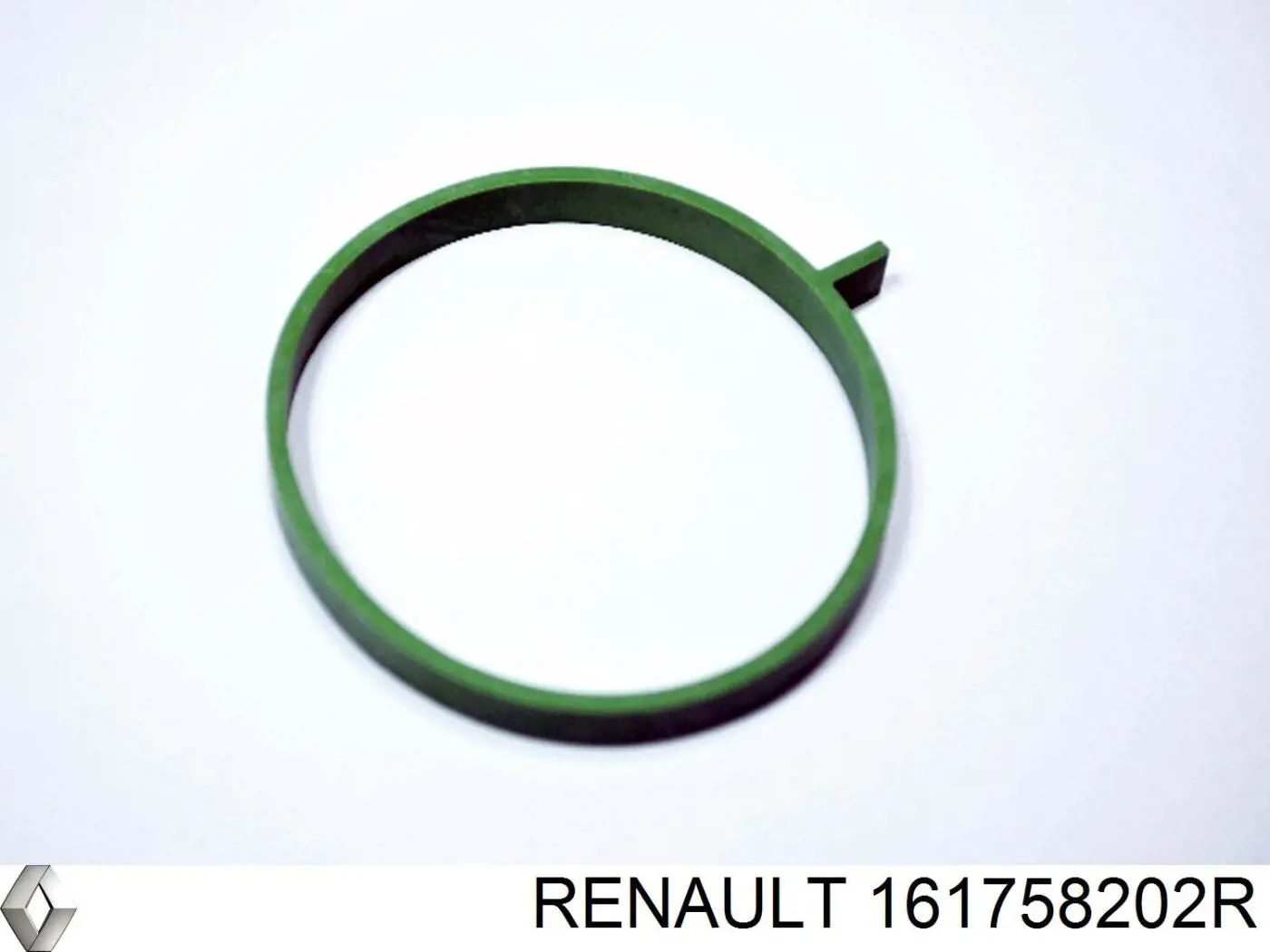 161758202R Renault (RVI) 