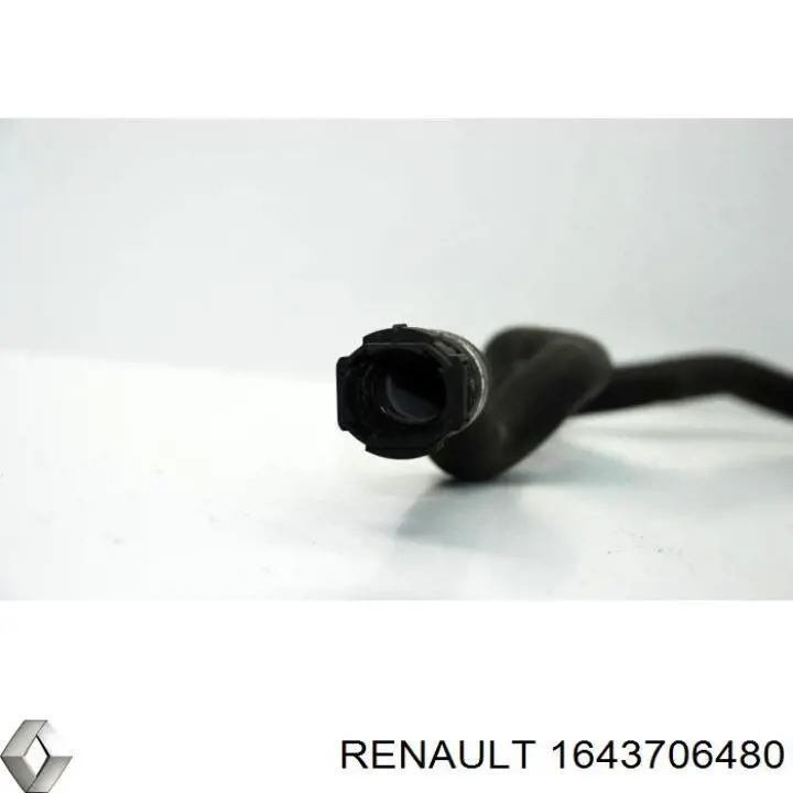 Шланг радіатора опалювача/пічки, подача 1643706480 Renault (RVI)