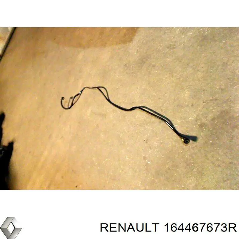 Трубка паливна, від фільтра до паливної рейки Renault (RVI) 164467673R ціна, від 19.02 USD