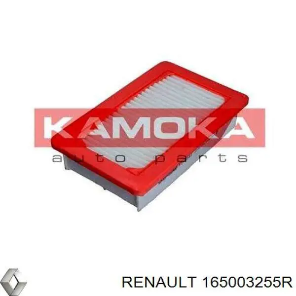  165003255R Renault (RVI)