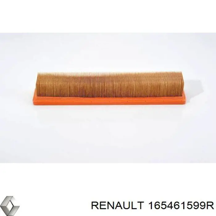 Повітряний фільтр 165461599R Renault (RVI)