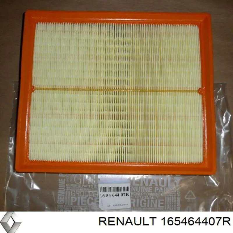 Повітряний фільтр 165464407R Renault (RVI)
