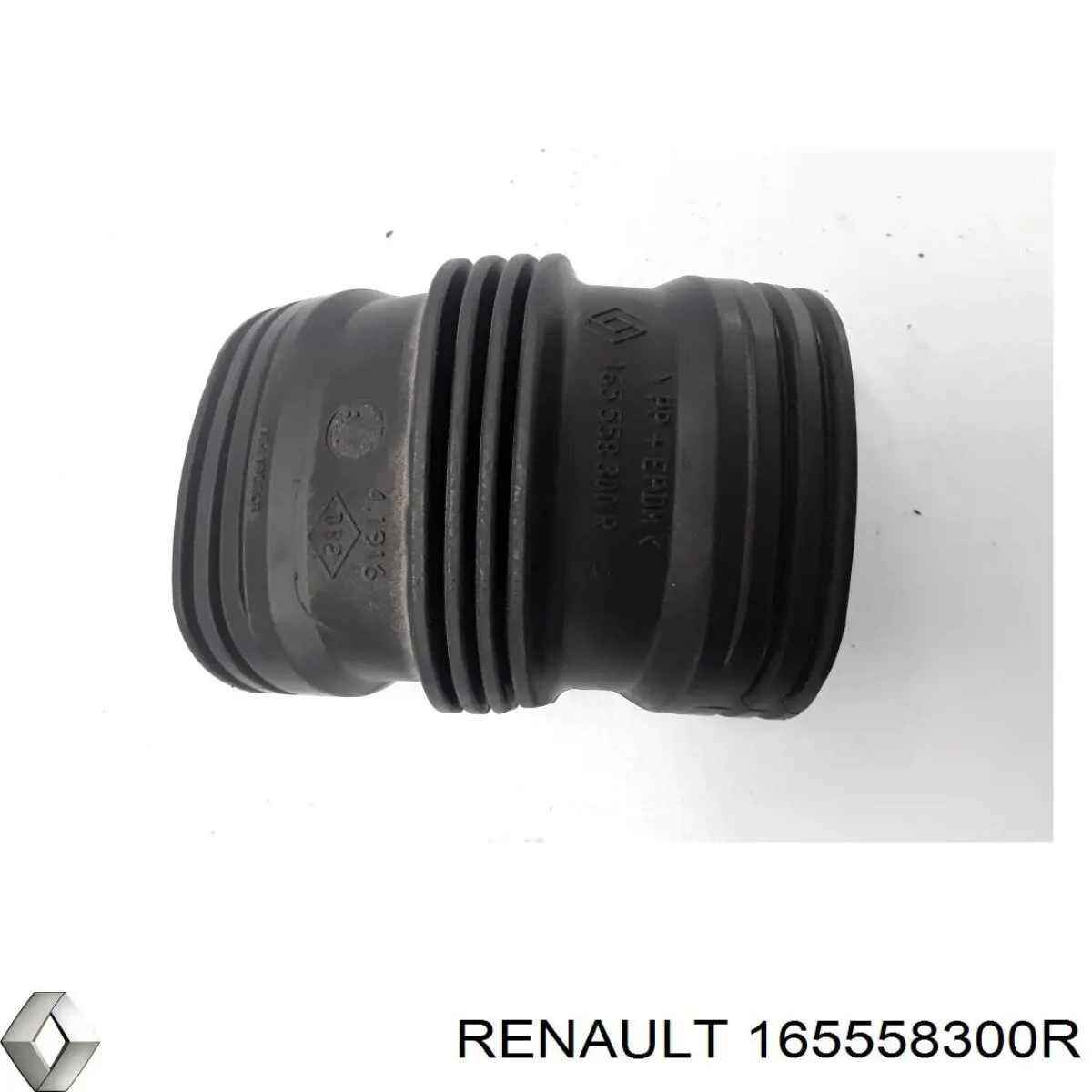  165558300R Renault (RVI)