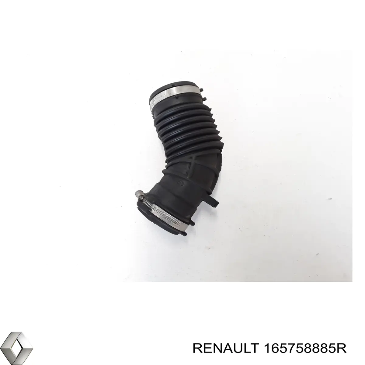  165758885R Renault (RVI)