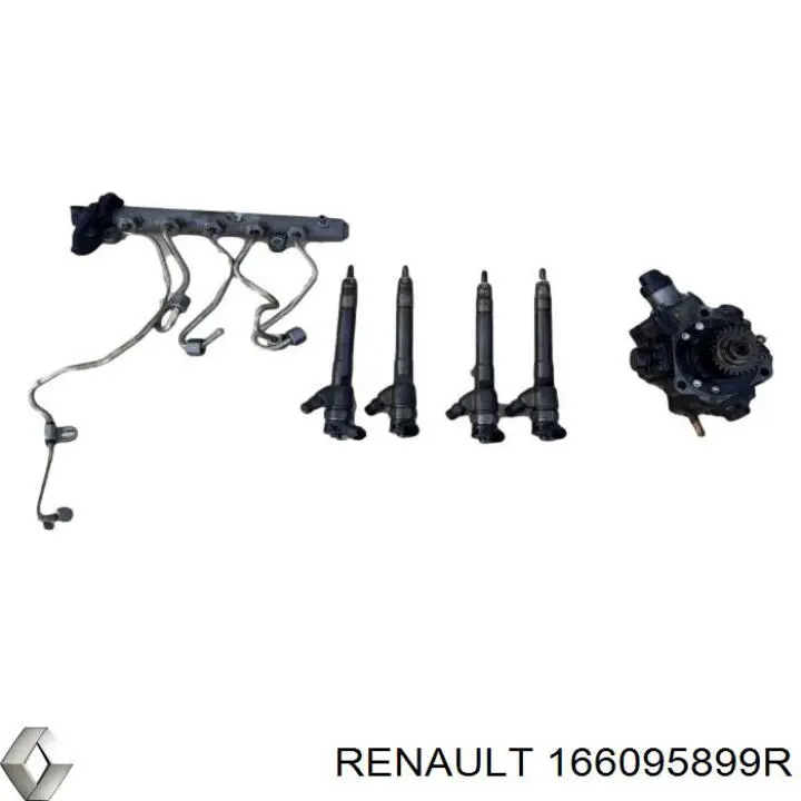 Форсунка паливна Renault (RVI) 166095899R ціна, від 505.64 USD