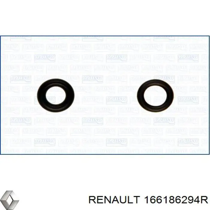  166186294R Renault (RVI)