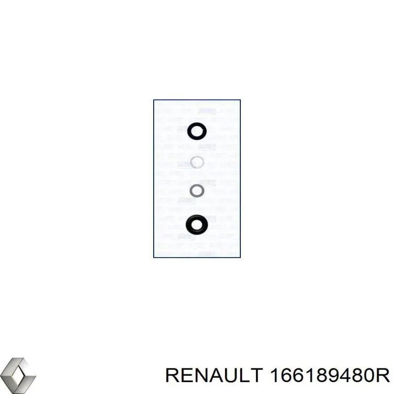 166189480R Renault (RVI) Ремкомплект форсунки