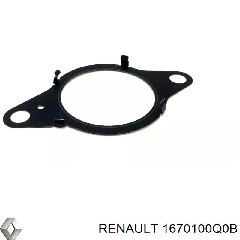 Купити 1670100Q0B Renault (RVI) Прокладка паливного насосу ПНВТ