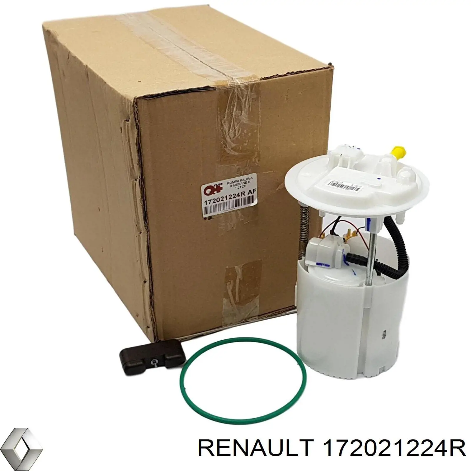 172021224R Renault (RVI) 