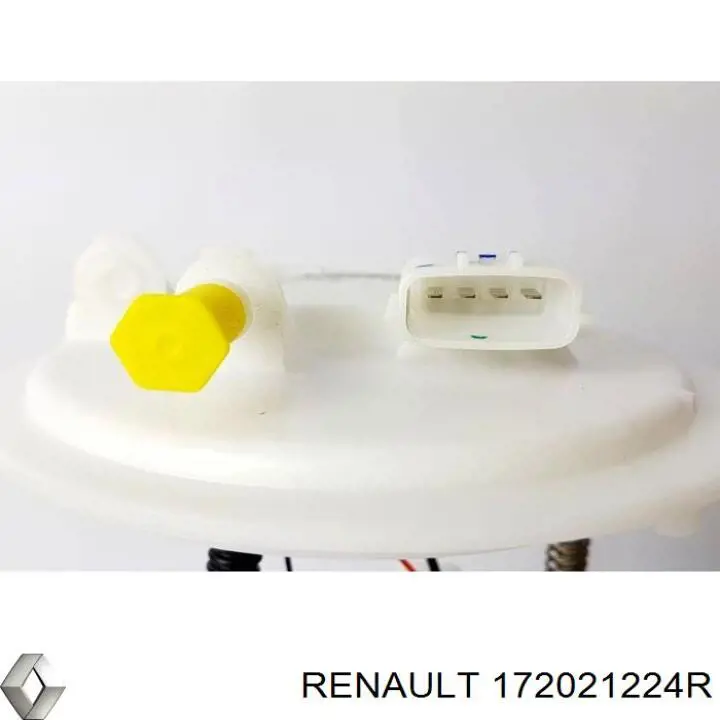  172021224R Renault (RVI)