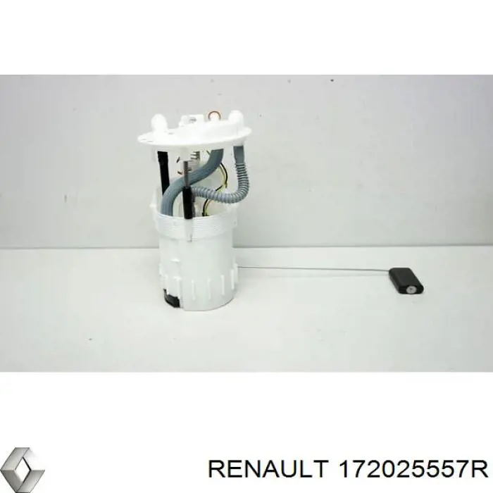 Купити 172025557R Renault (RVI) Насос занурювальний в баці