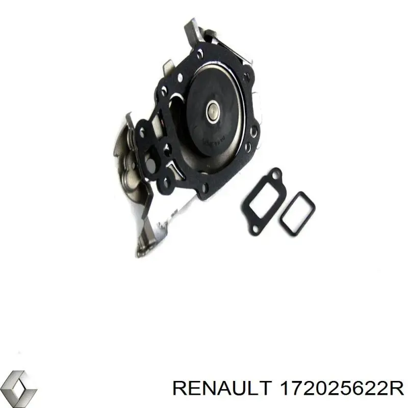 Бензонасос 172025622R Renault (RVI)