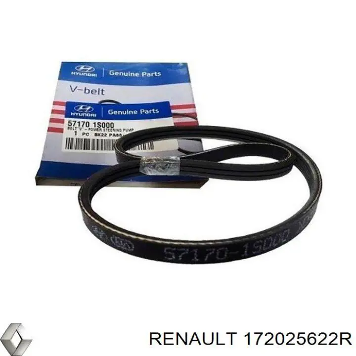 Купити 172025622R Renault (RVI) Насос занурювальний в баці