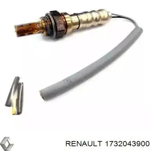 Купити 1732043900 Renault (RVI) ДПРВ