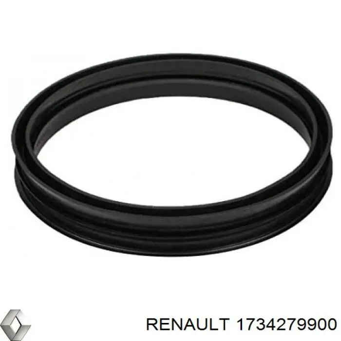 Купити 1734279900 Renault (RVI) Прокладка датчика рівня (топл.бак)