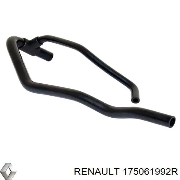 Купити 175061992R Renault (RVI) 