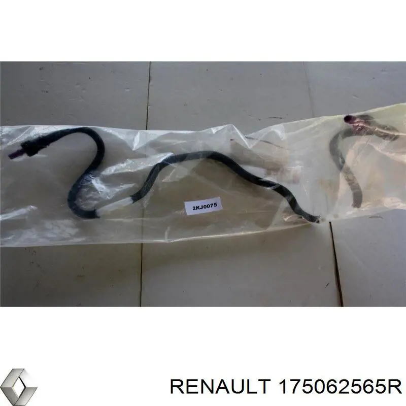  Renault (RVI) 175062565R ціна, від 77.50 USD