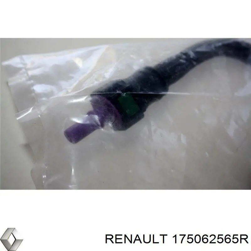 175062565R Renault (RVI) 