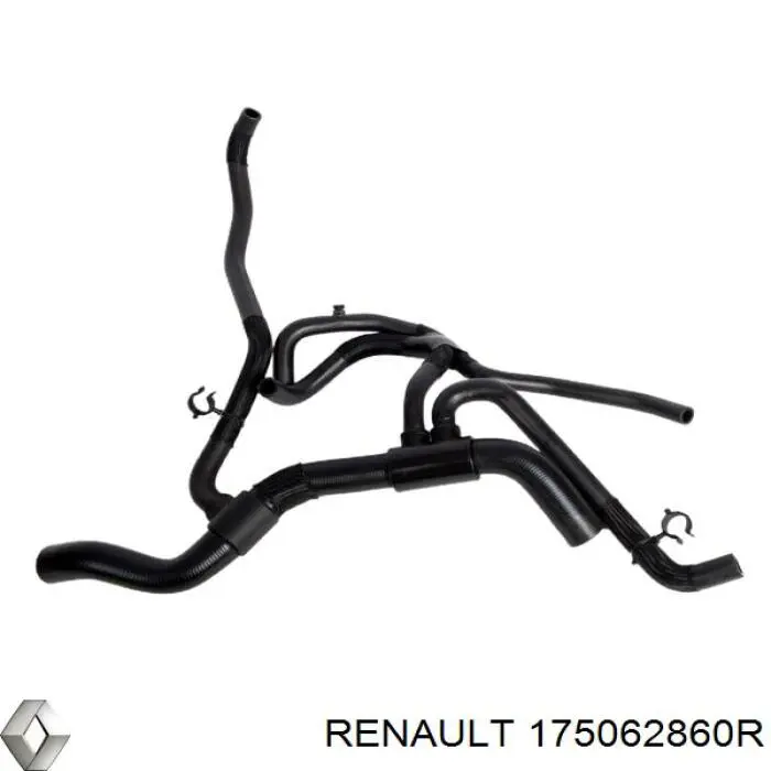 Трубка паливна, зворотня від форсунок Renault (RVI) 175062860R ціна, від 28.69 USD