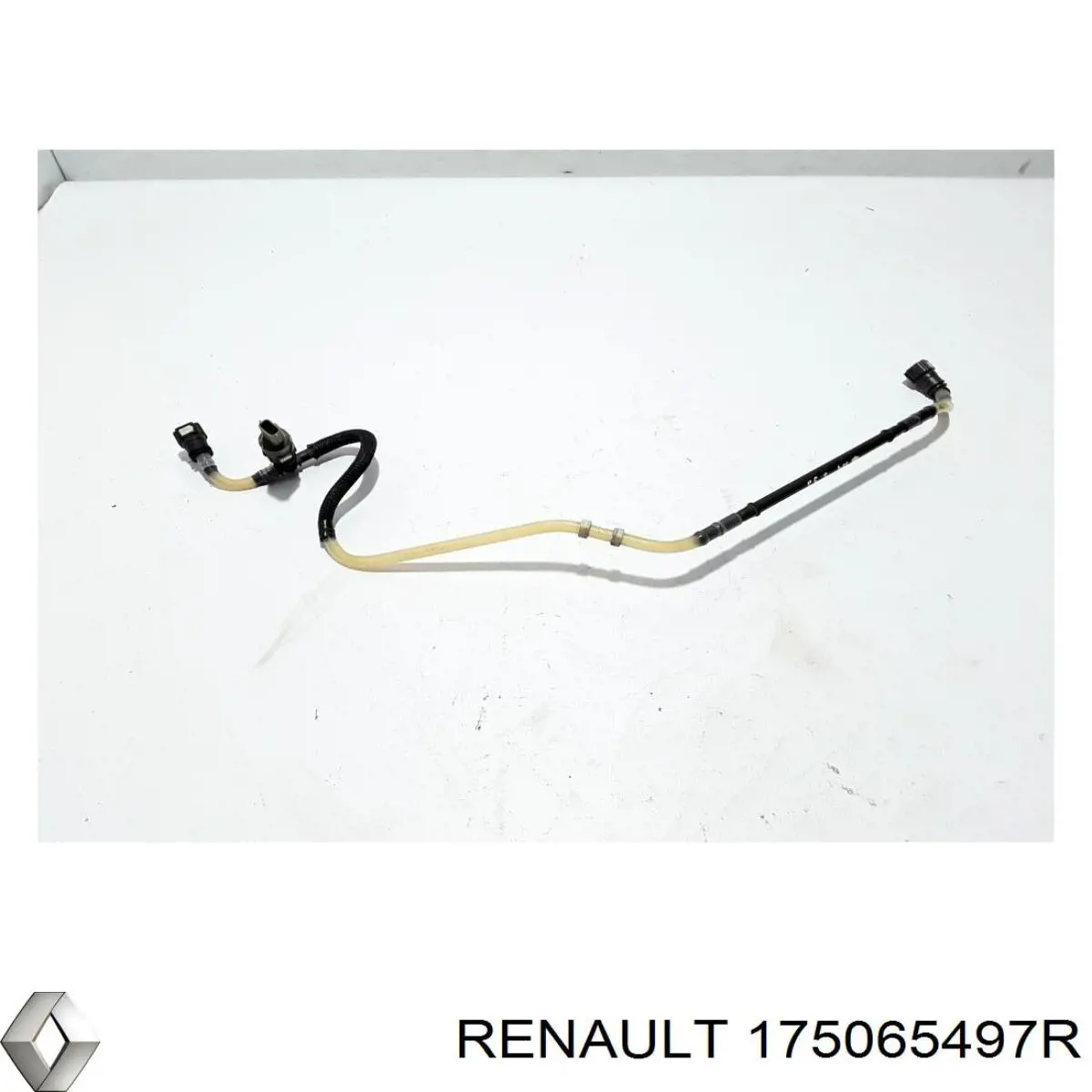  175065497R Renault (RVI)