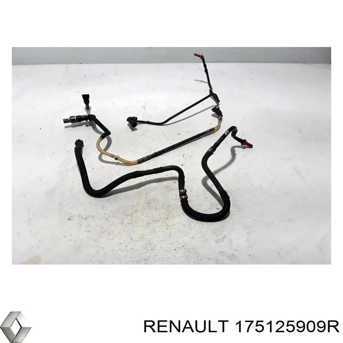  Renault (RVI) 175125909R ціна, від 231.81 USD