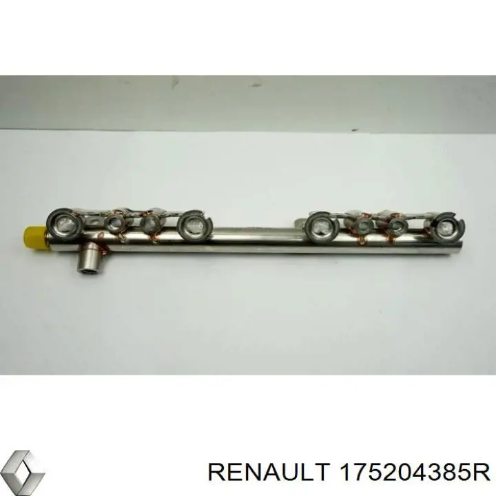  175204385R Renault (RVI)