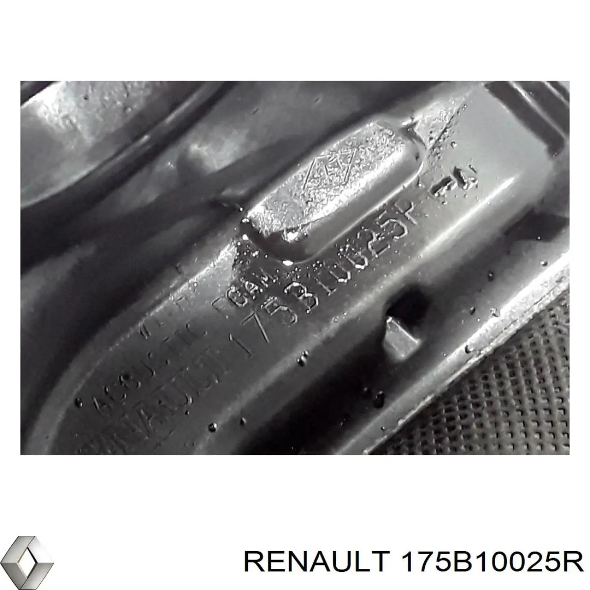 Купити 175B10025R Renault (RVI) 