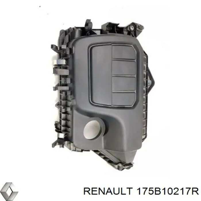 Купити 175B10217R Renault (RVI) 
