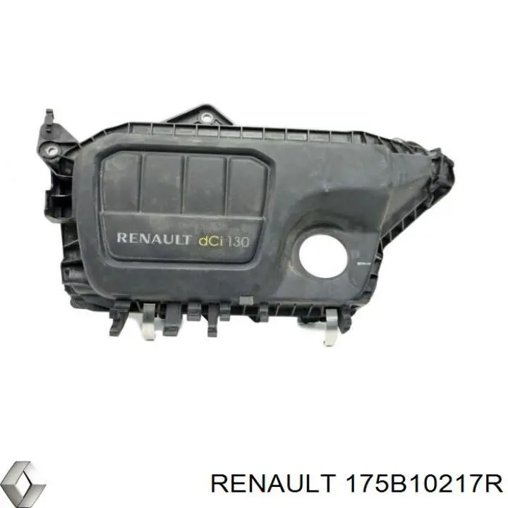  175B10217R Renault (RVI)