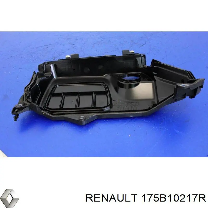 175B10217R Renault (RVI) 